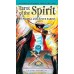 Таро Духа (США) Tarot of the Spirit