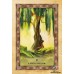 Кельтский Оракул Деревьев (США) Celtic Tree Oracle