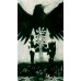 Таро Ворон Смерти (Италия)/Murder of Crows Tarot
