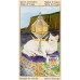 Таро Языческих Кошек (Италия)-Tarot of Pagan Cats